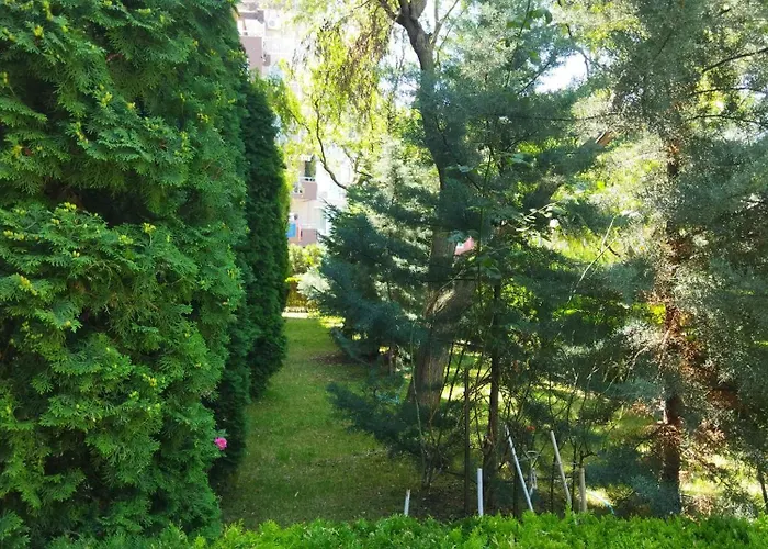 святая елена Apartment Slantschew brjag