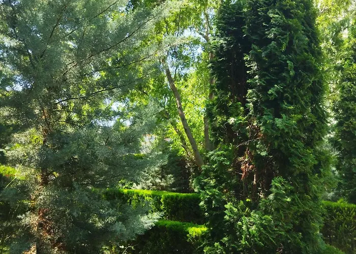 Apartmán святая елена