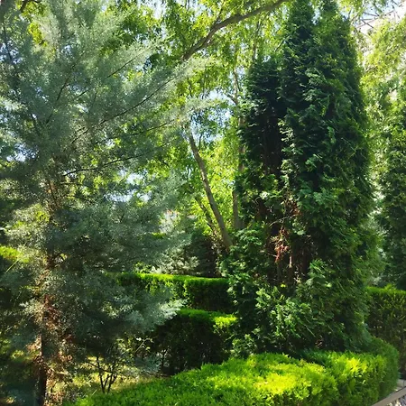 Apartmán святая елена