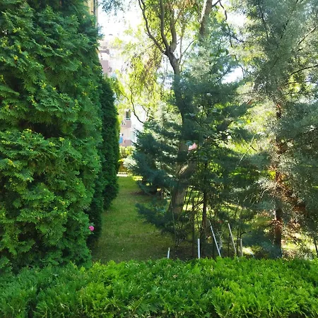 святая елена Apartamento Sunny Beach